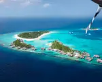 Thumbnail 35