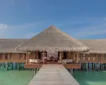 Thumbnail 22
