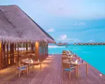 Thumbnail 27