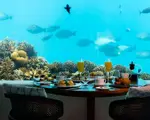 Thumbnail 22