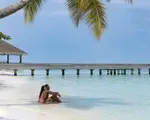 Thumbnail 24