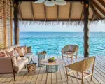 Thumbnail 13