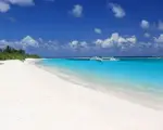 Thumbnail 24