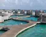 Thumbnail 27