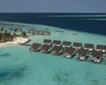 Thumbnail 46