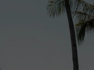 Contact Background